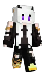 Minecraft skin — Classic model
