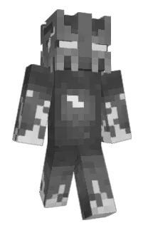 Front of reazona's skin