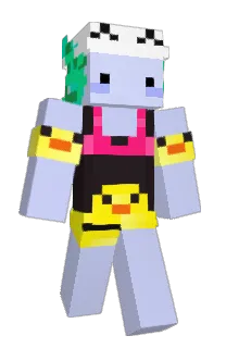 Front of Enderlote's skin