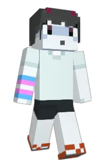 Front of Catitar's skin