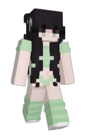 Skin preview