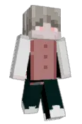 s8zz