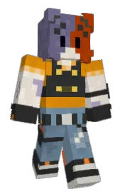 Skin preview