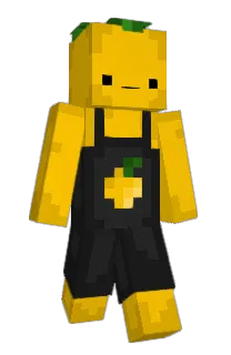 Front of gurusita's skin