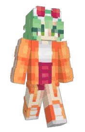 Skin preview