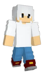 Minecraft skin — Classic model