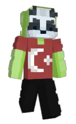 cod gray and conifer Minecraft skin — Slim model