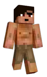 Minecraft skin — Classic model