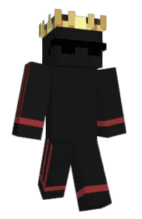 Front of ZUHNPL's skin