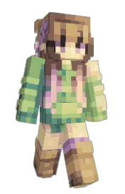 Skin preview