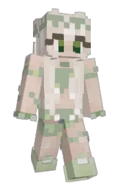 Skin preview