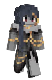 Front of tilegos's skin