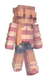 Minecraft skin — Classic model