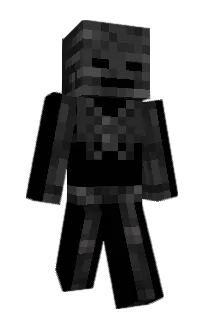 Front of ShineMarco's skin