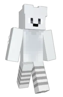 Front of iNylo's skin