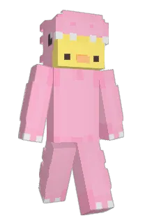 Front of Kerkku's skin
