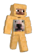 Carwdi
