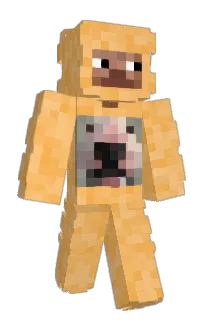 Front of Minecraft skin