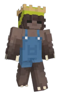 Front of CheemsHyper's skin
