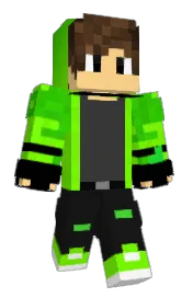 Skin preview
