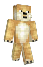 Skin preview
