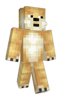 Front of momokiing's skin