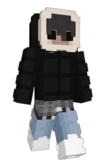Front of raciing's skin