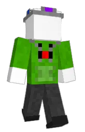 Skin preview
