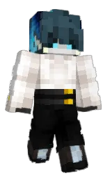 white and cod gray Minecraft skin — Classic model — first worn by Netquark