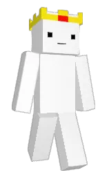white and broom Minecraft skin — Classic model