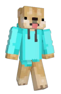 Front of TheDetectiveDoge's skin