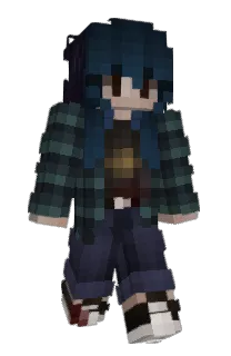 Front of Ashpoint's skin