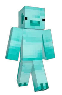 Front of GVID's skin