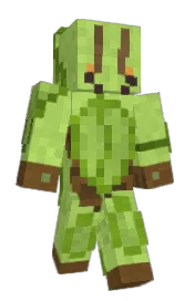 Skin preview