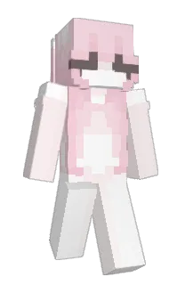 ranck's Minecraft skin