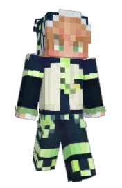Skin preview