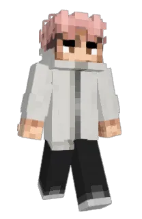 LilBirdJJ's Minecraft skin