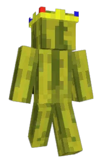 Nomhb's Minecraft skin