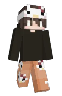 Front of trinkFTP's skin