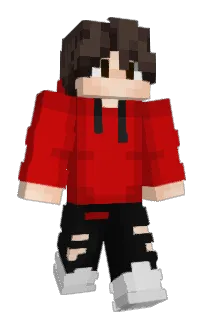 Front of arasshon's skin