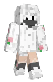 Front of shinygw's skin