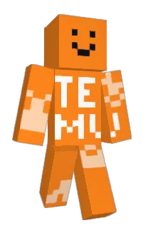 Front of kontakted's skin