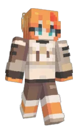 Minecraft skin — Classic model