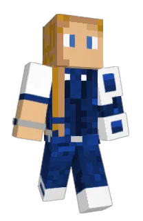 Front of palapapop's skin