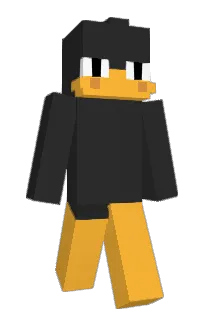 Front of pocchako's skin