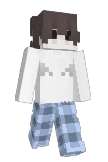 444finn Minecraft avatar full body