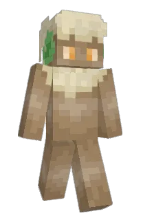 Front of Minecraft skin