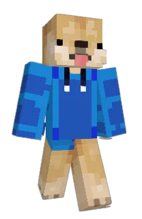Front of Minecraft skin