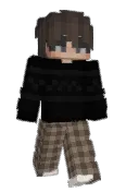 snowfidi