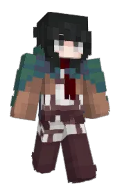 Skin preview